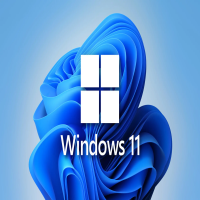 windows-11-os-installation